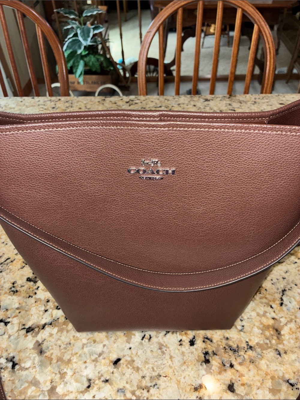 Coach Maple Pebbled Leather Large City Bucket Crossbody/Shoulder Bag - Picture 13 of 13